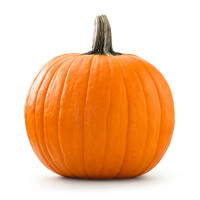 pumkin